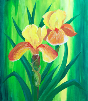 Yellow Iris