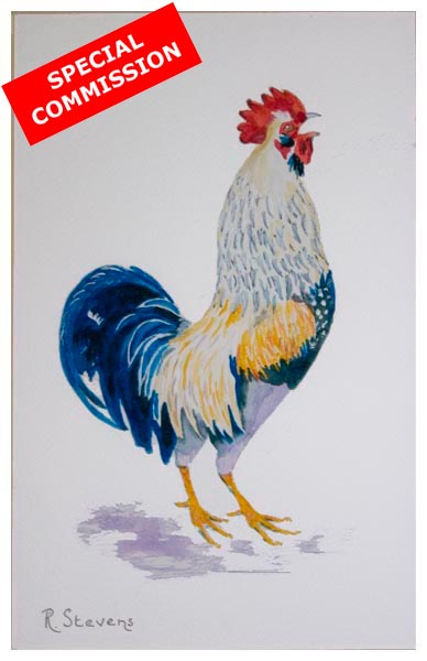 Cockerel