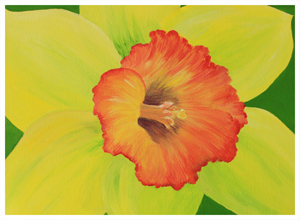 Daffodil